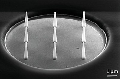 Bioelektronik: Studie stellt neues Design von Nano-Elektroden vor