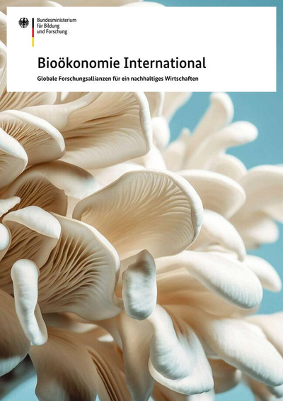 Neue Broschüre BMBF Bioökonomie International– mit Cassava-Forschung vom IBG-2