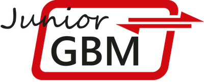 Junior-GBM Mentoring Programm